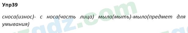 Русский язык Зеленина 5 класс 2020 Упражнение 391