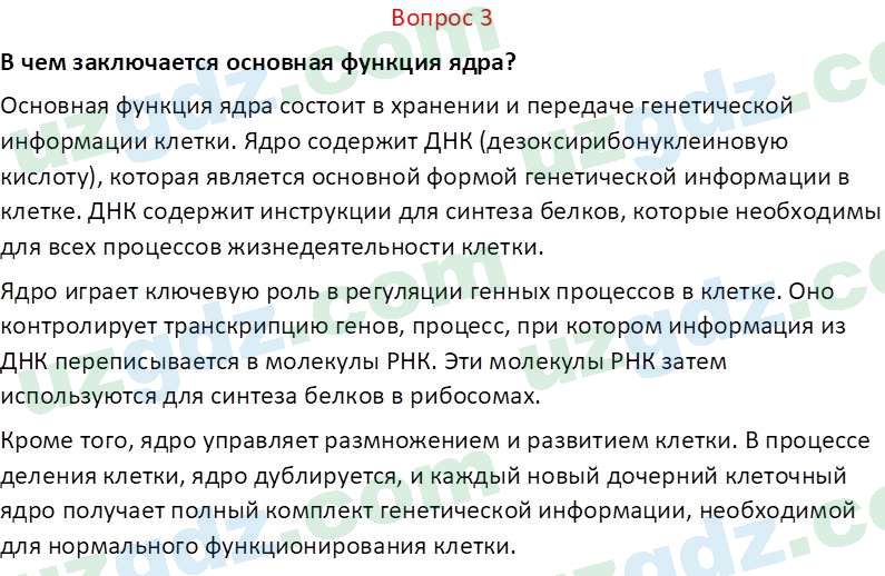 Биология Пратов У. 6 класс 2017 Вопрос 31