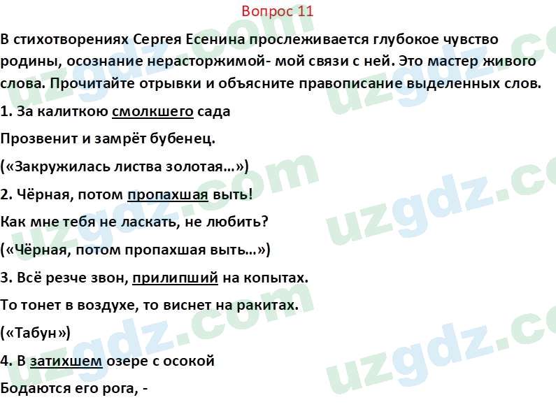 Русский язык Юнусовна Т. О. 7 класс 2022 Вопрос 111