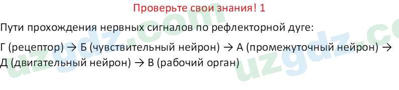 Биология Maвлянов О. 8 класс 2019 Вопрос 11