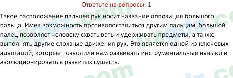 Биология Maвлянов О. 8 класс 2019 Вопрос 11